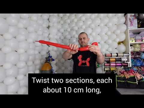 How to Make a Balloon Dog – Step-by-Step Tutorial!