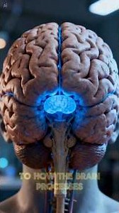 Why Small Things Make You Emotional