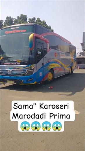 Bus ANS Dan Bus Transport