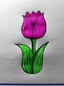 How to Draw a Tulip Flower Step-by-Step