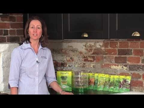 How to Grow Mr Fothergill's Sprouts