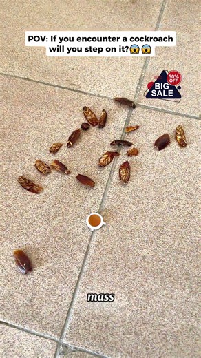 Effective Cockroach Control Using Natural Attractants