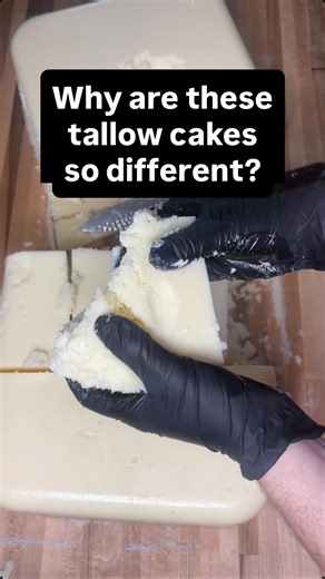 5:16 Homestead on Instagram: "Temperature and cooling method can alter a lot in your tallow. #tallow #tallowtok #beeftallow #tallowskincare #homestead"