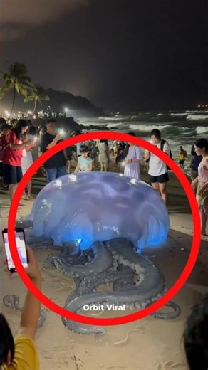 Top 5 BIOLUMINESCENT Creatures That Actually Glow! 💡🐠 (Number 1 is Deadly) #Shorts