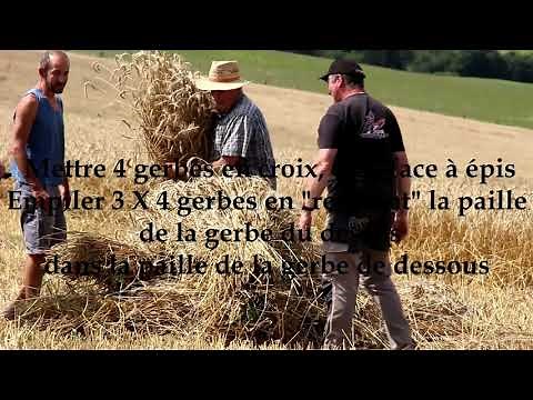 Battage à l'ancienne partie 1