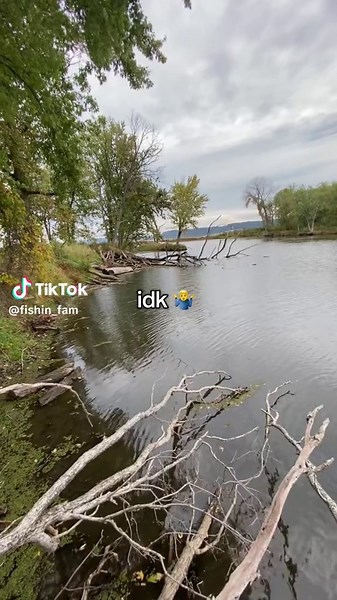 gatekeeping final boss 🤐 #fishinfam #bass #fishingtiktok