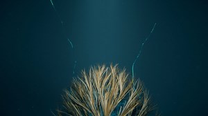 The first chapter of a new project is out today. Twelve tracks hand-picked and remixed by long-standing friend Turkish, Canadian DJ and composer Mercan Dede are split into two volumes of three chapters, each containing two songs. Three will be released this year, with three more following in 2022. Today sees the release of Volume 1, Chapter 1, which features the first two remixes; "Twice" and "Fly". You can listen to this first chapter at https://einaudi.lnk.to/ReimaginedSo But you can also watc