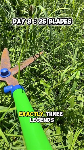 Day 8: Cutting 25 Blades of Grass! 3 Away From 100! 🌿 #challenge #shorts