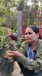 black pomegranate pero kabangaan pa ni. | Florame B