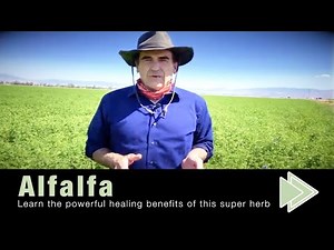 Alfalfa Benefits, Nutrition Facts