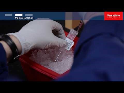 Plasmid DNA Purification: How to Isolate Plasmid DNA (Miniprep Guide)