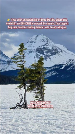 EPIC - BANFF NATIONAL PARK Winter Mountains ❄️ Canadian Rockies