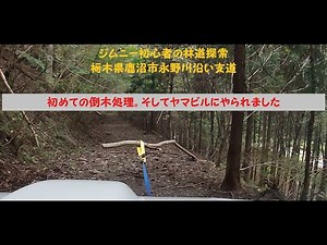 ジムニー初心者の林道探索 栃木県鹿沼市永野川沿い支道