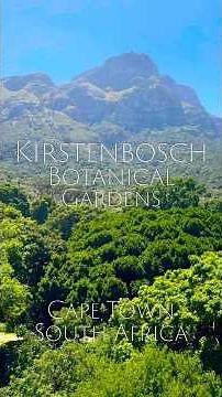 Kirstenbosch Botanical Garden - Cape Town, South Africa #capetown #southafrica #travel