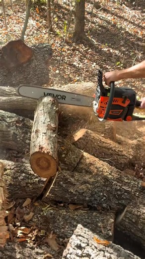 These are perfect for homeowners to save money 🏡💰 | Molly Pearson