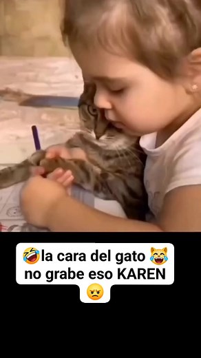 Morí de risa con la cara del gato🤣 #gatito #fypシ゚viral #virales #fun #risas #animalesdivertidos | VanyStore