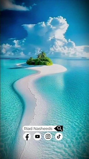 Bright | Background Nasheed - #nasheed #shorts #nature #islam #viral