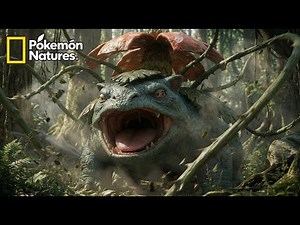 Pokémon Natures | Bulbasaur → Ivysaur → Venusaur: The Ever-Growing Symbiotic Giant