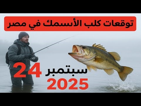 توقعات الصيد في مصر على ٢٤ سبتمبر ٢٠٢٥: اترك كل شيء واذهب للصيد!