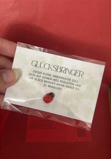 Markiere jemanden, der auch eine Portion Glück gebrauchen kann 🤭🐞🍄🍀 #beedsys #smallbusiness #glücksbringer #bestellung #ordertracker #support #luckycharm