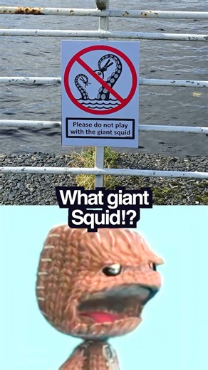 Giant squid sign 😱
