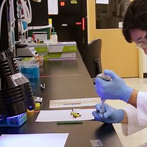 Video: Fabrication and Implementation of a Reference-Free Traction Force Microscopy Platform