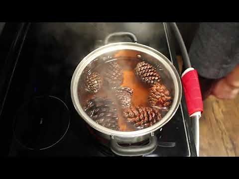 Making cinnamon-scented pinecones from scratch! | Frenzied Friday