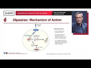 Lipoproteína (a) y desarrollo clínico de olpasiran
