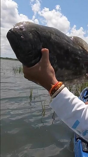 Back to Back 20” Flounder🔥🔥 #doormat #flounder #flounderfishing