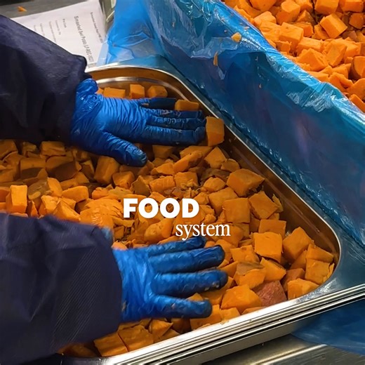 78K views | “I cut out artificial ingredients - and saw the difference. That’s why I created Frive: chef-made meals that actually support your health.” ✔️ 45g+ protein per meal ✔️ No seed oils, refined sugar or additives ✔️ Ready in 3 mins — no cooking ✔️ Highest-rated meal plan in the UK Real food. Big results. Zero faff. | Frive | Facebook