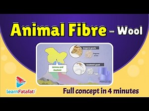 Class 7 Science Chapter 3 Fibre to Fabrics - Animal Fibre - All About Wool | CBSE - LearnFatafat