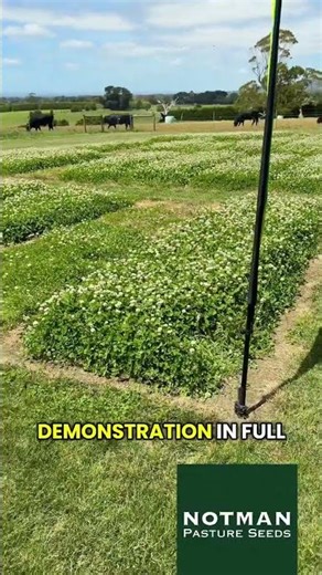 End-of-Year Field Day - Jason's quick snapshot of the white clover demonstration