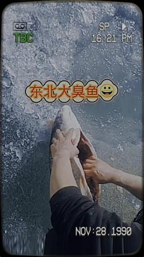 捡点臭鱼#东北臭鱼#臭鱼#东北#东北美食