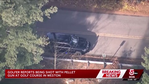 Police investigate after golfer says he was shot by pellet gun