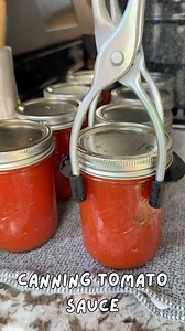 244K views · 2.8K reactions | Canning Tomato Sauce  To each pint add: 1 tbsp bottled lemon juice 1/2 tsp salt Water bath pints for 35 minutes If using frozen tomatoes, keep some of the water for acidity!! Full recipe from Ball Canning & Preserving #Canning #Canning101 #TomatoSauce #Tomatoes #GardenTomatoes #WaterBathCanning | Living Planet Friendly | Facebook