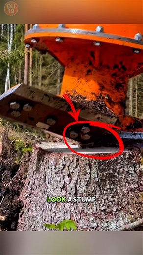 This Machine Erases Tree Stumps Without Digging the Roots! Here’s How!
