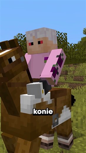 EVERYTHING YOU NEED TO KNOW about SPEAR IN MINECRAFT!