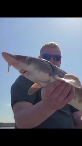 The fish from hell | Creepy Facts