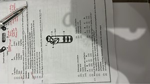 The given figure is of the circulatory system. Identify the lab... | Filo