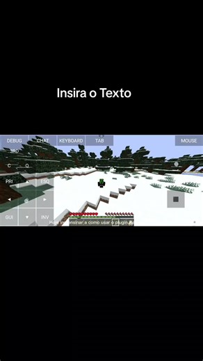 Como Usar o Plugin Red Protect no Minecraft