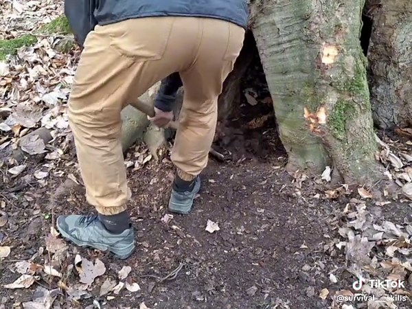 Survival Techniques in the Woods: Building a Shelter