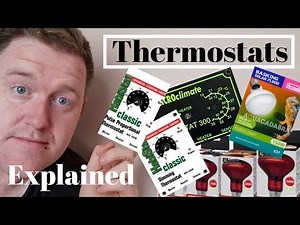 Reptile Thermostats EXPLAINED (Which Thermostat Is Right For Your Pet Reptile)