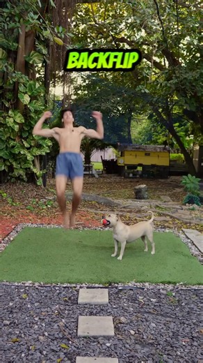 Seven Wade on Instagram: "TEACHING MY DOG A BACKFLIP PART 4💀 #backflip"