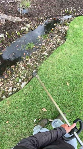 Satisfying lawn edging clips 🙌🏻