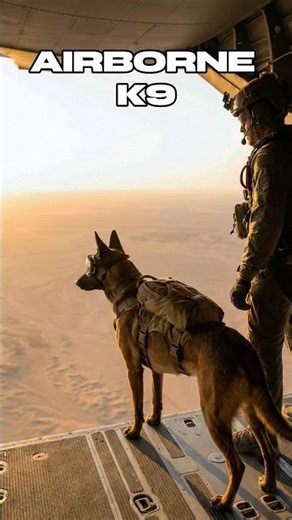 K9 HELI JUMP & URBAN ASSAULT 🚁 | Tactical Training Drill #k9 #dogtraining #shorts