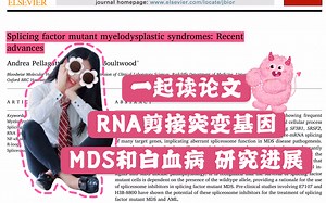【Read with Me与干细胞女士一起读论文】综述：RNA splicing（RNA剪接）突变基因与骨髓增生异常综合征、白血病等疾病关系研究的现状进展