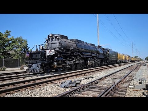 UP Big Boy 4014 & Other Trains At La Grange, IL 9/9/24