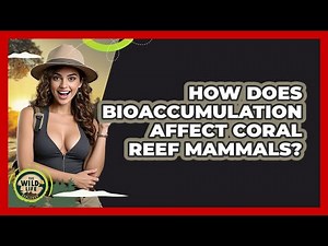 How Does Bioaccumulation Affect Coral Reef Mammals? - The Wild Life Explorer
