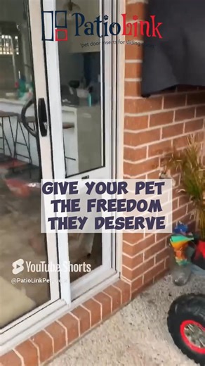 Tired of seeing your dog scratching on the glass door to be let in or out? 😩 The Large Pet Door Insert is here to solve your problem! 🐶✨ Designed specifically for aarge-sized pets like Labradors, Retrievers, Mastiffs and Greyhounds, this pet door insert fits standard-height sliding doors between 2.0 to 3.0m tall. 🚪 Featuring a high-quality powder-coated aluminium frame, 5mm tempered safety glass, a clear UV-protected semi-hard flap with magnets, and a lockable aluminium flap cover, this heavy