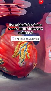 The newly imagined human body exhibit includes some of the latest neurological advances happening at Penn Medicine, while also honoring past discoveries like mRNA vaccines and CAR T cell therapy. “These amazing advances in science, medicine, and technology aren’t just happening around the world, they’re happening right here in Philadelphia, and we want to celebrate that,” said Jayatri Das, PhD, of The Franklin Institute. Visit the link in our bio to learn more. Our friends at The Franklin Instit